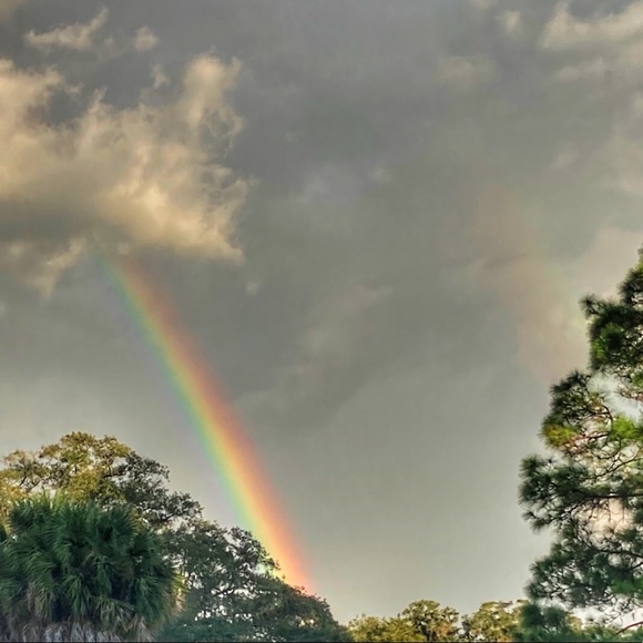 Meet your Posher, Dee! - Picture 10 of 15